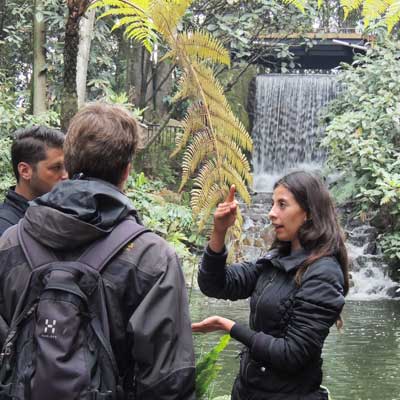 Spanish School Colombia - Social Activities: Botanical Garden Tour