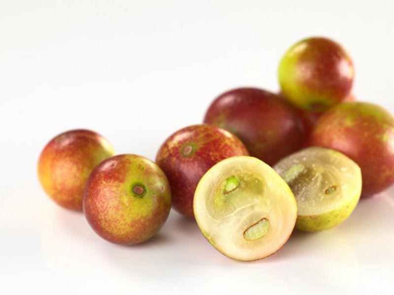 Colombian exotics fruits: Camu Camu