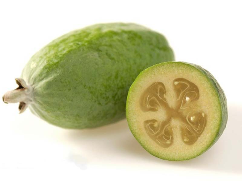 Colombian exotics fruits: Feijoa