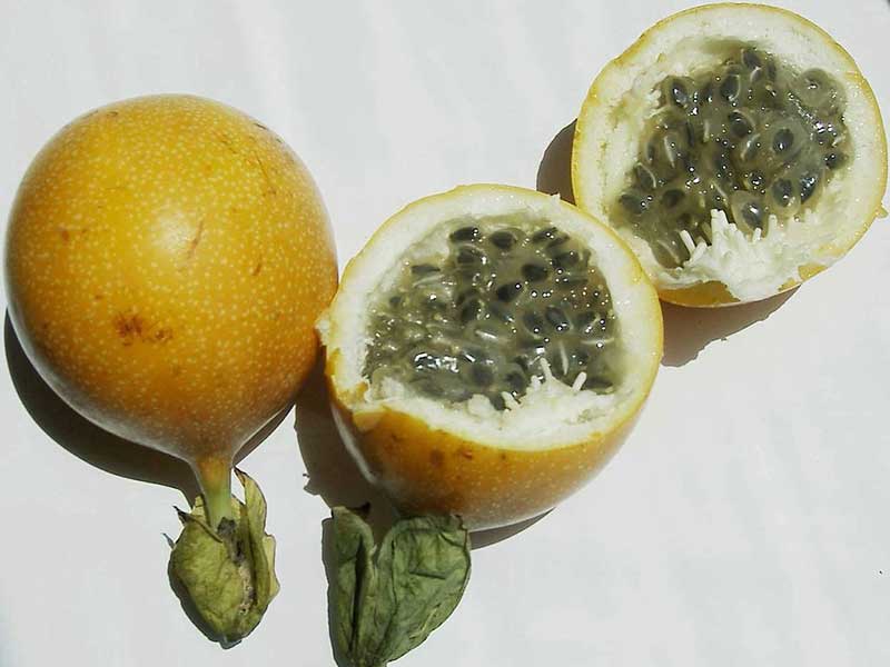 Colombian exotics fruits: Granadilla