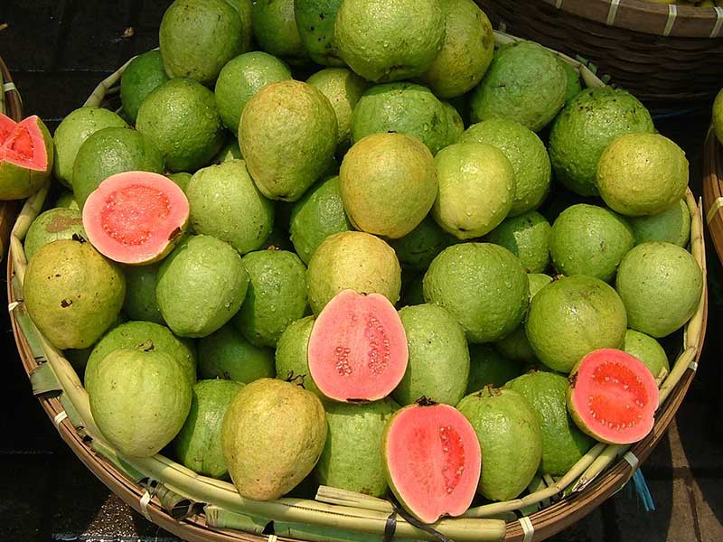 Colombian exotics fruits: Guayaba