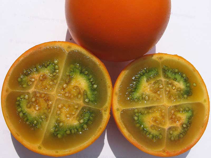 Colombian exotics fruits: Lulo