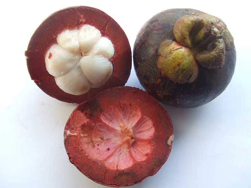 Colombian exotics fruits: Mangostino