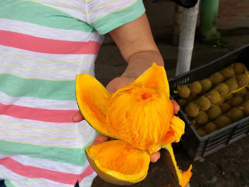 Colombian exotics fruits: Zapote