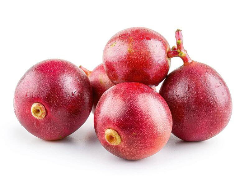 Colombian exotics fruits: Camu Camu