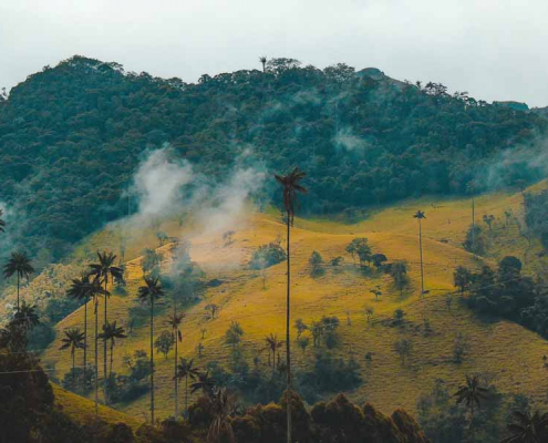 Things You Probably Didn't Know About Colombia : Biodiverse Country