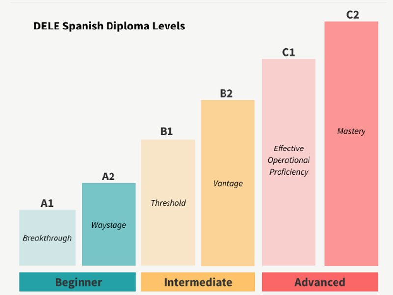 DELE diplomas consist of six levels. With “A” being Beginners; “B” Intermediate, and “C” Advanced.