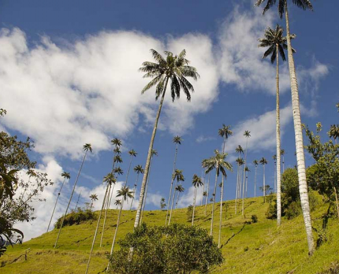 7 reasons why you should travel to Colombia right now